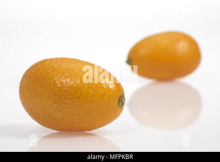 Kumquat, Fortunella Margarita, fruits contre fond blanc Banque D'Images