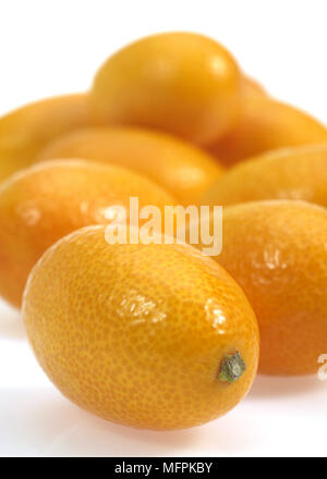 Kumquat, Fortunella Margarita, fruits contre fond blanc Banque D'Images