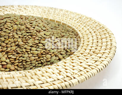 Les lentilles blondes françaises de Saint Flour, Lens esculenta, légumes secs contre fond blanc Banque D'Images