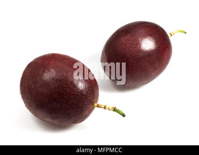 Fruit de la Passion, Passiflora edulis against White Background Banque D'Images