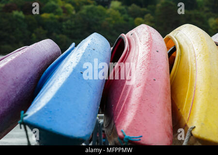 Canoës colorés Banque D'Images