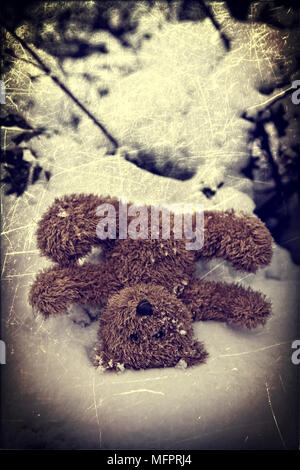 Un ours dans la neige
