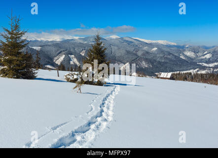 Matin d'hiver pittoresque sur la montagne de chemin alpin avec empreinte. Pente de montagne Skupova, l'Ukraine, afin d'Chornohora ridge et Pip Ivan mont Banque D'Images