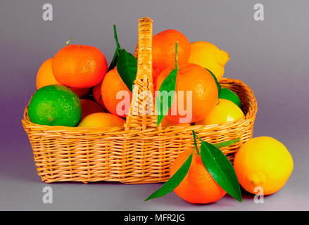 Joli panier d'agrumes avec des oranges, citrons et limes. Banque D'Images