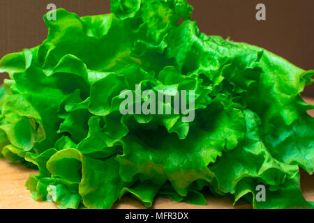 Pile de produits frais et biologiques bouclés letucce généraux. Harvest tas de feuilles de salade verte fraîchement coupées sur table en bois. Concept de l'alimentation propre. Vegeteria sain Banque D'Images