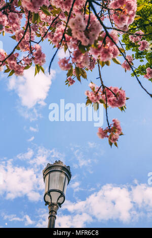 La saison du printemps tout autour de la ville de Luxembourg Banque D'Images