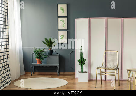 Élégant salon intérieur avec des plantes sur l'armoire noire à côté d'un écran blanc et rose avec de l'or et de cactus président à l'avant Banque D'Images