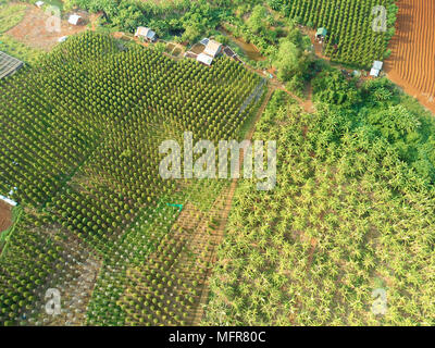 Drone aérien Vue sur campagne Cambodge Banque D'Images