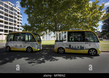 Deux navettes bus Intellibus l'objet d'un test de conduite dans les rues de Perth en Australie occidentale. Banque D'Images