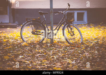 Location avec les feuilles d'automne,Kallio Helsinki,Finlande,europe, Banque D'Images