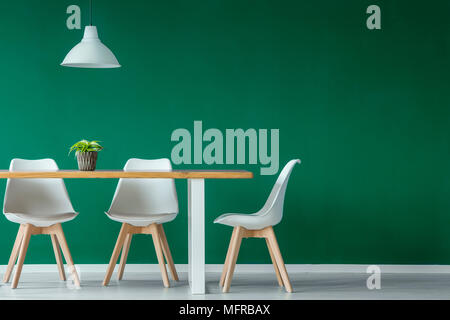 Lampe blanche au-dessus de chaises et table en bois avec plante en intérieur salle à manger vert with copy space Banque D'Images