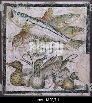 Les canards et les poissons représentés dans la mosaïque romaine datée de 90-20 av. de la Casa del Granduca di Toscana (Maison du Grand-duc) à Pompéi, aujourd'hui exposées dans le Musée Archéologique National (Museo Archeologico Nazionale di Napoli) à Naples, Campanie, Italie. Banque D'Images
