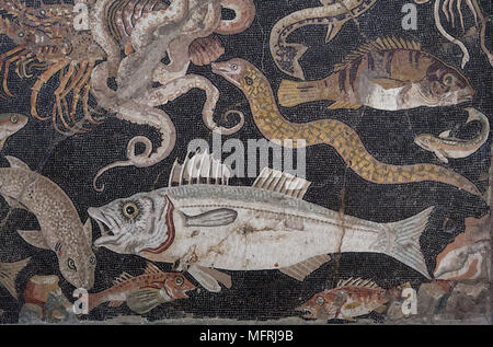 La vie marine (poisson) représenté dans le catalogue mosaïque romaine à partir de la Casa di Lucius Aelius Magnus (Chambre de Lucius Aelius Magnus) à Pompéi, aujourd'hui exposées dans le Musée Archéologique National (Museo Archeologico Nazionale di Napoli) à Naples, Campanie, Italie. Congre Congre conger (européenne) est représentée dans la mosaïque. Banque D'Images