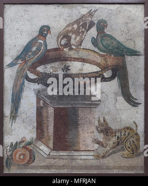 Cat et perroquets représenté dans la mosaïque romaine de Santa Maria Capua Vetere, dans la province de Caserta, maintenant exposée dans le Musée Archéologique National (Museo Archeologico Nazionale di Napoli) à Naples, Campanie, Italie. Banque D'Images