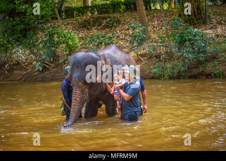 Les Malaisiens baignoire avec un bébé éléphant Banque D'Images