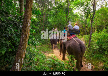 Les touristes circonscription éléphants en Thaïlande Banque D'Images