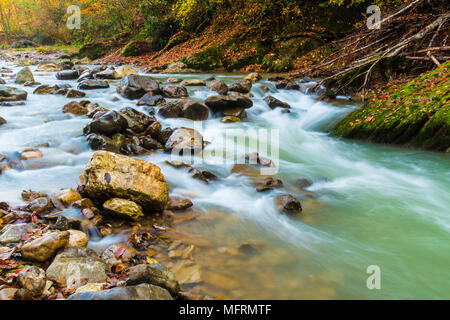 Flou de mouvement rapides de Hosta rivière avec des rochers humides et la terre jonchée de feuilles sèches Banque D'Images