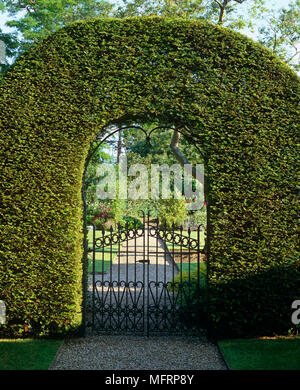 Porte en fer forgé situé dans archway topiaire hedge Banque D'Images