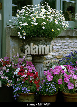 Semoir urne en pierre et de pots remplis de fleurs. Banque D'Images
