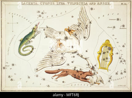 Lacerta, Cygnus, Lyra, Vulpecula et Anser. Numéro de carte à partir de 14 Hotel Kashyap, miroir ou d'une vue sur le ciel, l'un d'un jeu de 32 cartes carte des étoiles astronomique gravée par Sidney Hall et publshed 1824. Banque D'Images