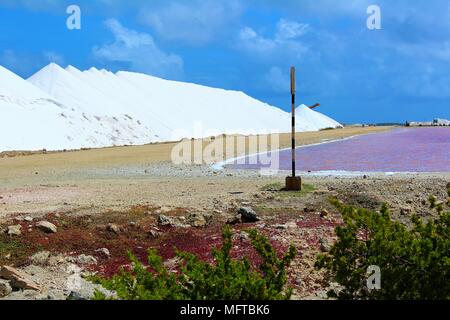 Une section de la salt works à Bonaire, Antilles néerlandaises. Février 2018. Banque D'Images