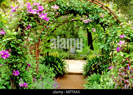 Coglizer avec jardin vue par une pergola couverte de Clematis ÔLady NorthcliffÕ Banque D'Images