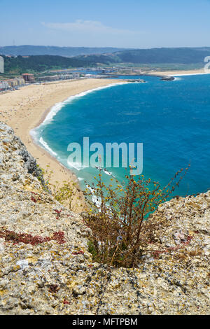 La vue de la falaise sur la côte atlantique avec Nazare Nazare beach, près de la ville. Portugal Banque D'Images