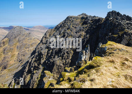 Vue côté ouest de la crête hérissée sur Glyder Fach de haut de Y Gribin Bochlwyd mcg ci-dessus dans le parc national de Snowdonia. Ogwen, Conwy, Pays de Galles, Royaume-Uni, Angleterre Banque D'Images