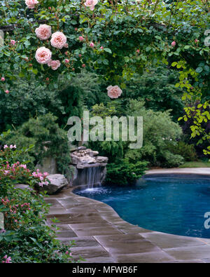De plus en plus roses roses autour d'étang dans le jardin Banque D'Images
