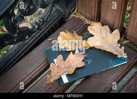 Sur un banc en bois dans le parc réserve et jaune tombée automne feuilles de chêne. Banque D'Images