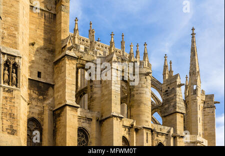 Toit de cathédrale de Narbonne - France, Languedoc-Roussillon Banque D'Images