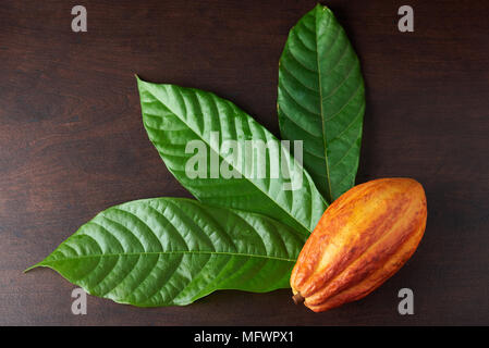 Thème de cacao biologique. Gousse de Cacao avec des feuilles vertes sur table en bois Banque D'Images