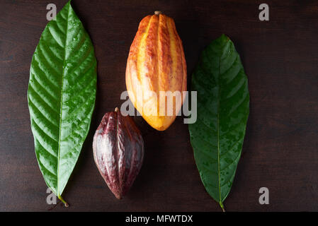 Les gousses des plantes cacao coloré sur table en bois foncé vue ci-dessus Banque D'Images