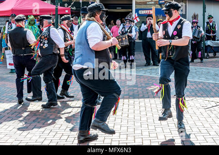 Cheval mort morris performing au St Georges day festival, Sittingbourne Banque D'Images