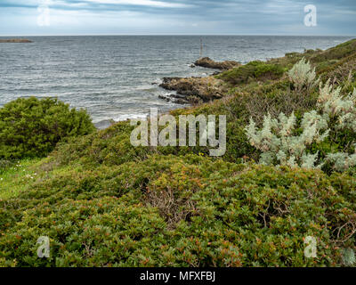 Vue de la côte près de Stintino sur l'île du nord de la Sardaigne, Italie Banque D'Images