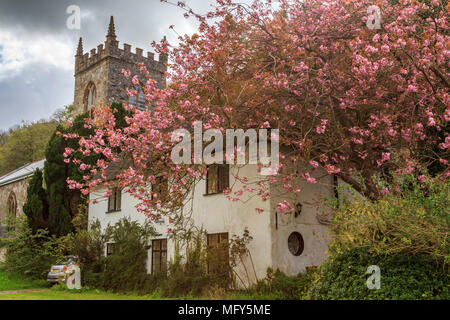 Beau village de Milton Abbas dans le Dorset, Angleterre, Royaume-Uni, GO anglais traditionnel avec des maisons d'adobe bordent la rue avec accotements gazonnés. Banque D'Images