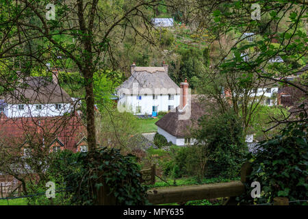 Beau village de Milton Abbas dans le Dorset, Angleterre, Royaume-Uni, GO anglais traditionnel avec des maisons d'adobe bordent la rue avec accotements gazonnés. Banque D'Images