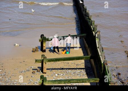 Les personnes qui reçoivent des algues Plage de Cromer England UK Banque D'Images