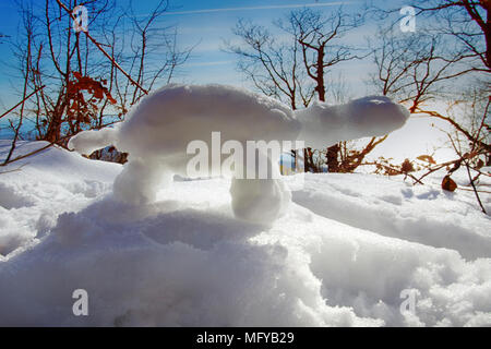 Frosty drôle tortue dans forêt en rayons de soleil, contre la lumière. Plaisir d'hiver, faire de la neige. De petites figures de neige pour les enfants et les jeunes. Ex de Noël Banque D'Images