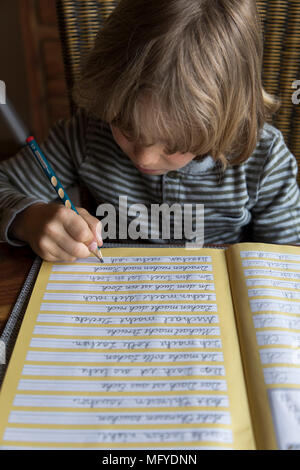 Garçon, 6 ans, voir l'appareil photo, sourire, apprendre, de devoirs  scolaires, parution modèle débutant, enfant, l'école première niveleuse,  atomiques, biologiques et chimiques scorer, enfant, personne, l'exercice  d'adresses, bloc-notes, crayon, stylo