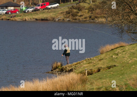 La pêche à la mouche. . Llyn Clywedog Réservoir.. Powys. Pays de Galles Banque D'Images