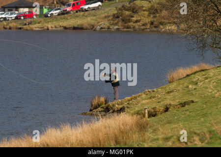 La pêche à la mouche. . Llyn Clywedog Réservoir.. Powys. Pays de Galles Banque D'Images