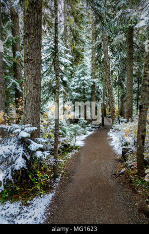 Joffre Lakes Provincial Park, BC, Canada Banque D'Images