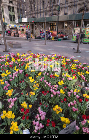 Jardin fleuri dans le lower Manhattan, NY Banque D'Images