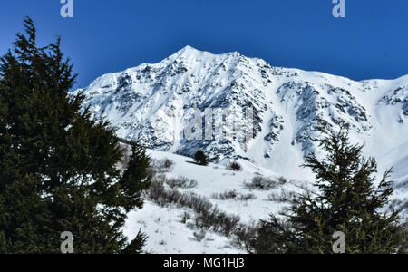 Les pics d'hiver en Alaska Banque D'Images