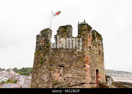 Sur le drapeau du pays de Galles Conway Castle est une fortification médiévale à Conwy, Pays de Galles, site du patrimoine mondial de l'UNESCO Banque D'Images