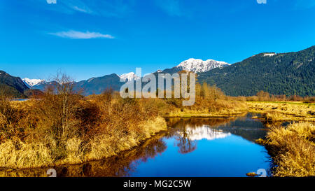 Réflexions de la neige a couvert des montagnes côtières dans les eaux des Pitt-Addington Marsh, près de Maple Ridge, dans la vallée du Fraser en Colombie-Britannique, Canada Banque D'Images