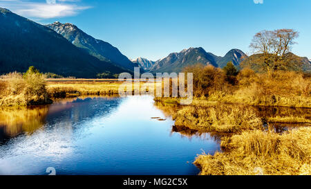 Réflexions de la neige a couvert des montagnes côtières dans les eaux des Pitt-Addington Marsh, près de Maple Ridge, dans la vallée du Fraser en Colombie-Britannique, Canada Banque D'Images