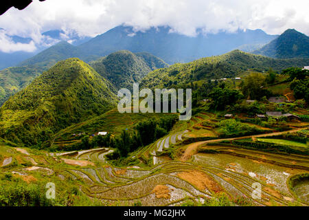 Les montagnes avec des plantes vertes et des terrasses de riz au Vietnam avec ciel nuageux, fin de la saison des pluies Banque D'Images