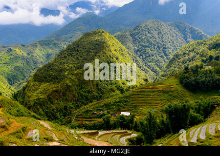 Les montagnes avec des plantes vertes et des terrasses de riz au Vietnam avec ciel nuageux, fin de la saison des pluies Banque D'Images